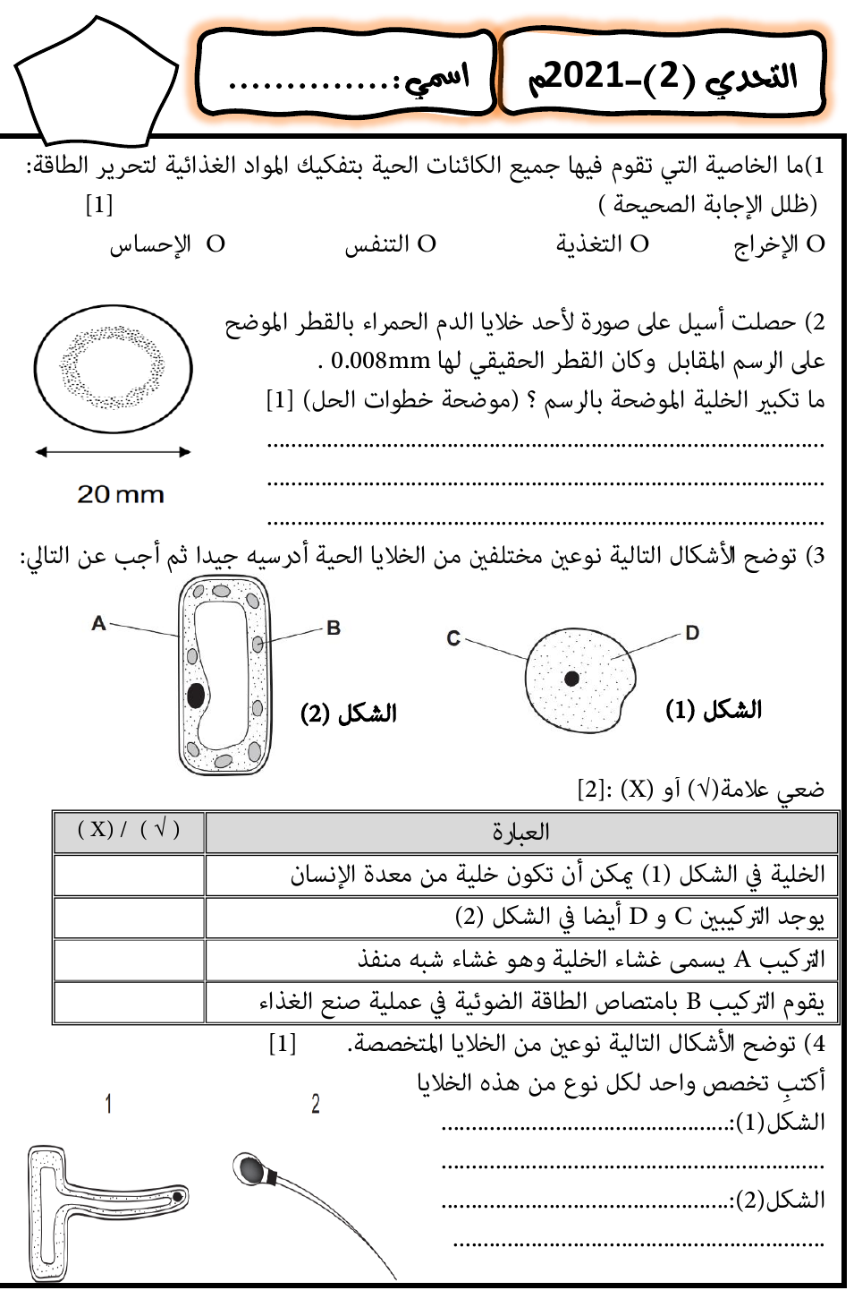 نسخة واحدة من ورقة التحدي 2 لعام 2021